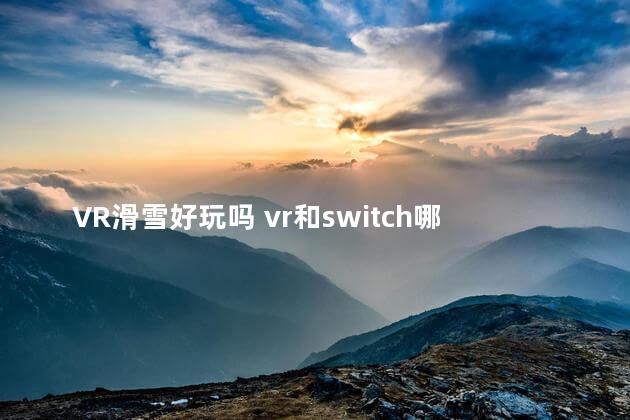 VR滑雪好玩吗 vr和switch哪个好玩